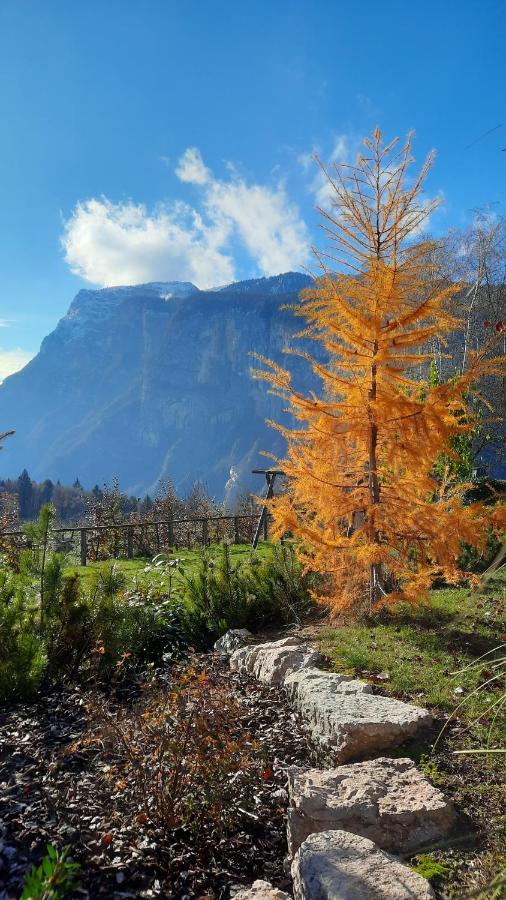 Il Giardino Di Anna - Appartamento 1 Fai della Paganella Dış mekan fotoğraf